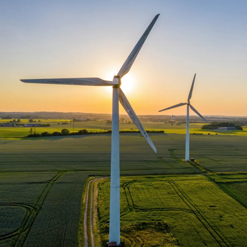 Social Media Management Sustainable Business Directory